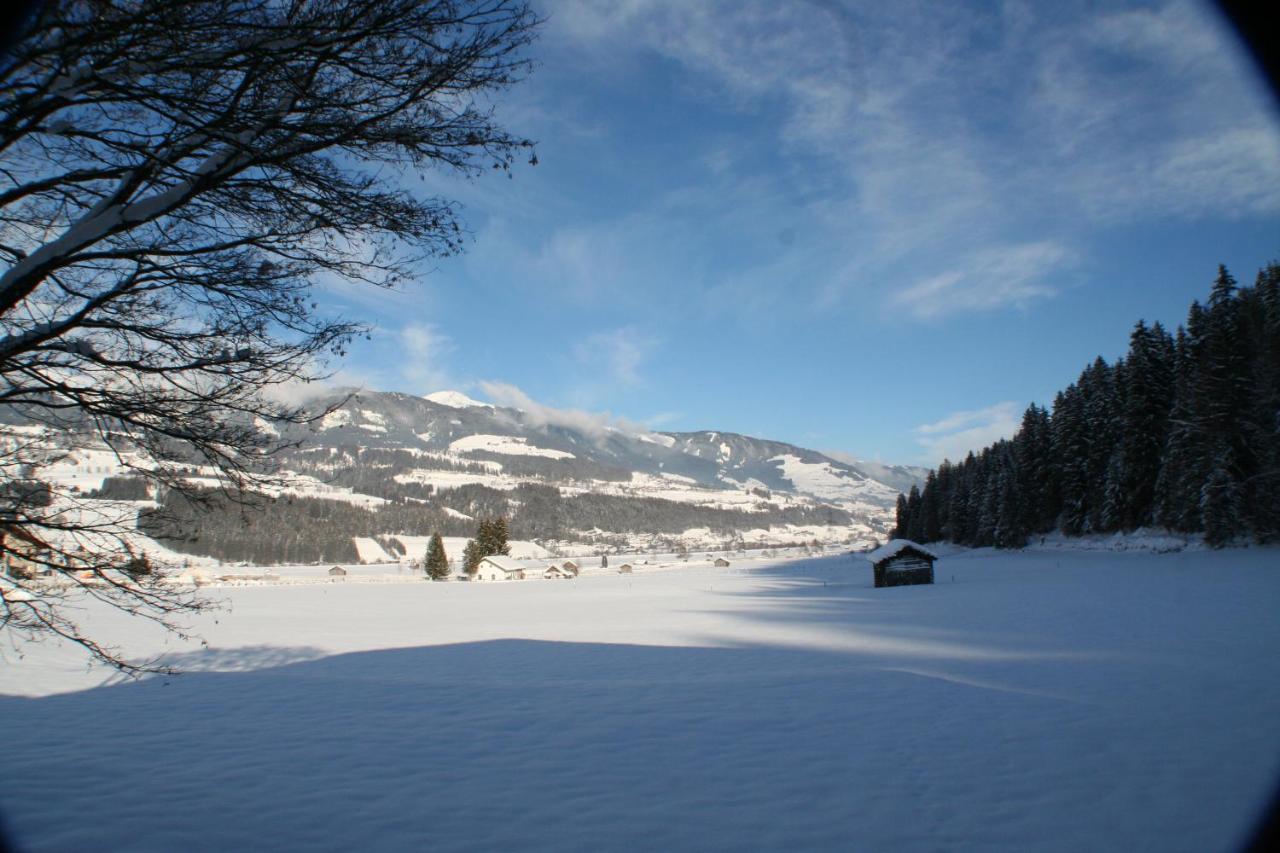 Oase Der Ruhe Appartement Hollersbach im Pinzgau Buitenkant foto